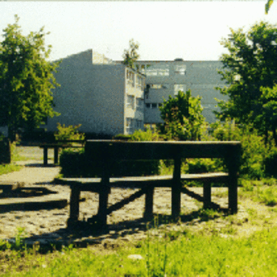 eine Sitzbank auf einer Wiese mit Bäumen und einem Gebäude im Hintergrund 