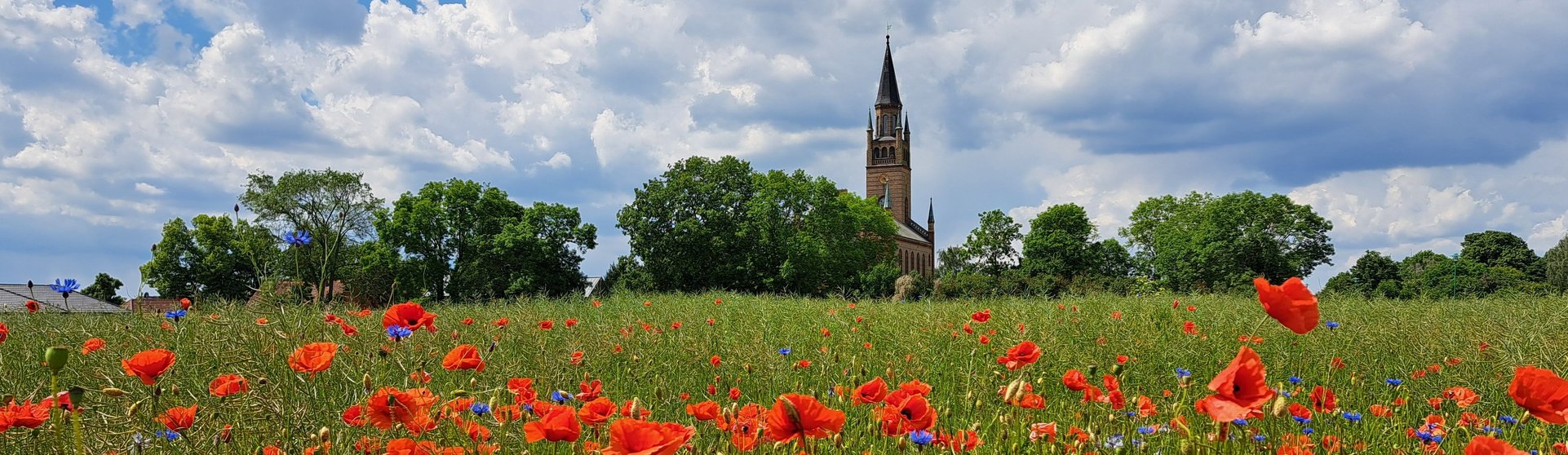 ein Mohnblumenfeld mit Kirche im Hintergrund