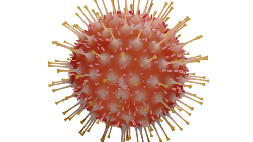 eine rot orangene Viruszelle